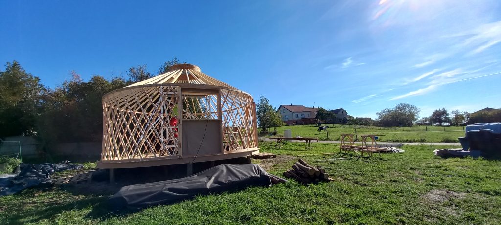 ossature en bois d'une yourte en construction en douglas des vosges du nord