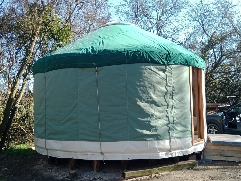 yourte de 20m² verte et coloris fougère dans une forêt