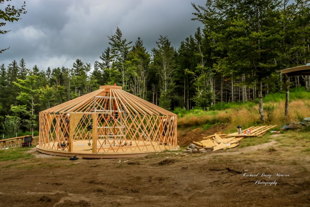 ossature ronde de la yourte en douglas des vosges du nord dans une clairière avec sapins en fond