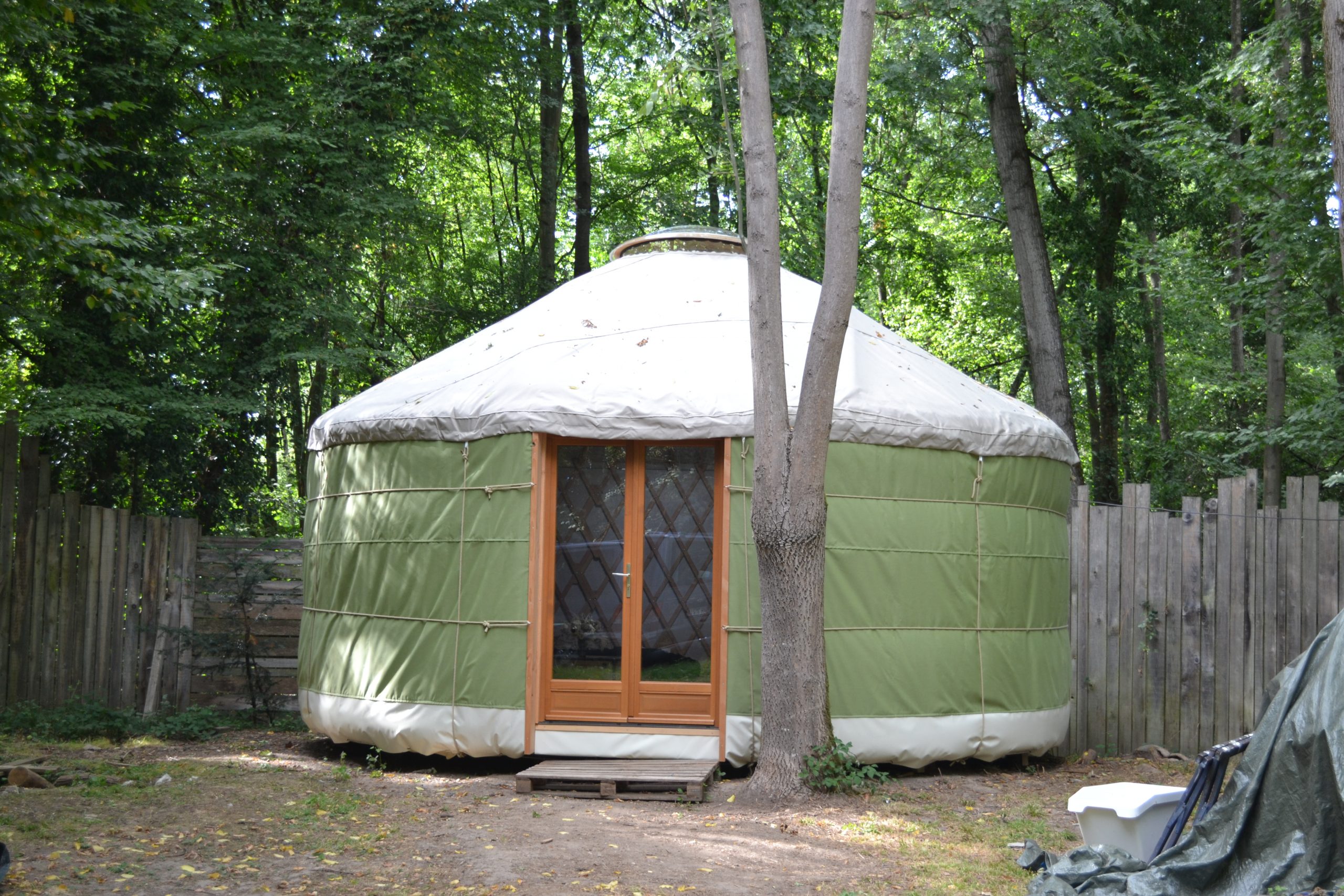 Yourte contemporaine verte installée près d'un arbre
